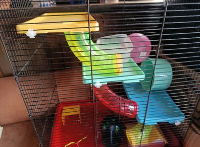 Hamster cage