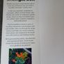 DK/ Small Garden/ John Brookes Image 4
