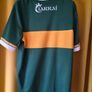 Kerry Jersey Image 6