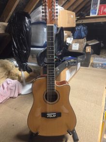 12 string Acustic guitar