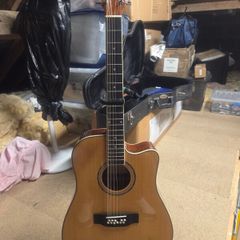 12 string Acustic guitar