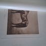 Book  Of Thoroghbred Sires. Image 3