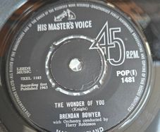 Brendan Bowyer and Royal Showband Waterford, Wonder of You, Fun Fun Fun 7"  Irish Showband interest