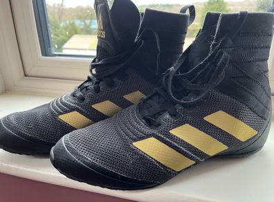 Boxing boots