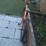 bike Image 6