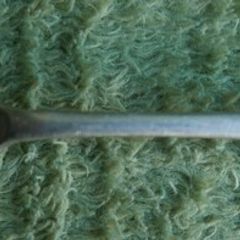 Vintage John Nowill & Sons Silver Plated Spoon