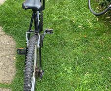 Adult Bike