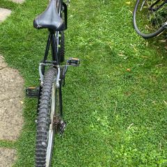 Adult Bike