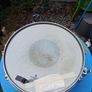 Pearl Freefloating Snare Image 4