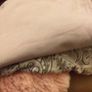 Pyjamas BNWT Image 6