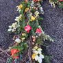 Faux Flowers Image 4