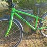 frog bike Image 2