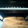 Yamaha Clavinova CLP-535 in dark rosewood Image 6