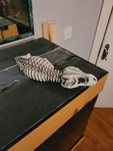 tank ornament
