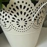 Chinese money plant(with a pot) Image 4