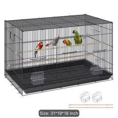 Bird Cage