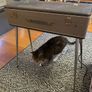 Vintage Lorenzo Portable Electric Organ 1960s - working Image 4