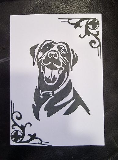 Dogs:- Labrador Blank Greeting Card