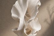 Wild Bloom sculptural decor