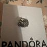 Pandora charm Image 2