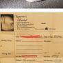 Ida Torez "Tremensa" -  Wedding Dress for sale Image 6
