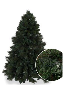 Christmas Tree Sherwood Pine 7ft
