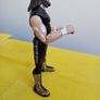 Jactus Jack WWE action Figure Image 5