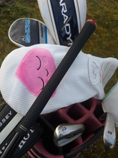 Set of Ladies Golf Clubs