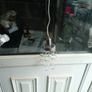 ceiling light Image 2