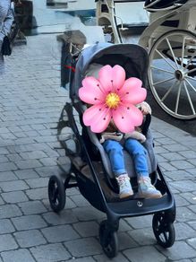 pushchair