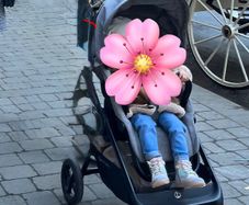pushchair