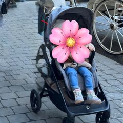 pushchair