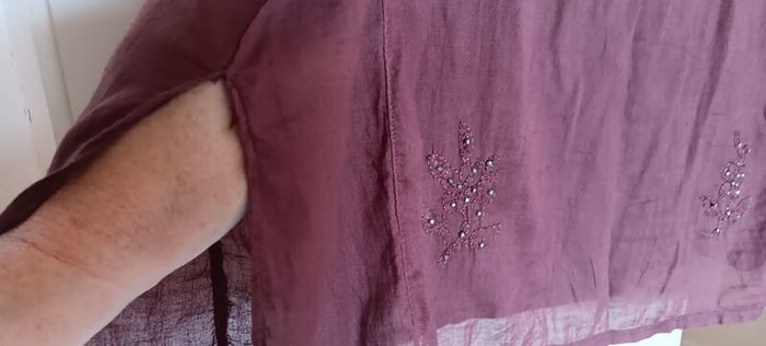 Brown Embroidered Sequin Blouse