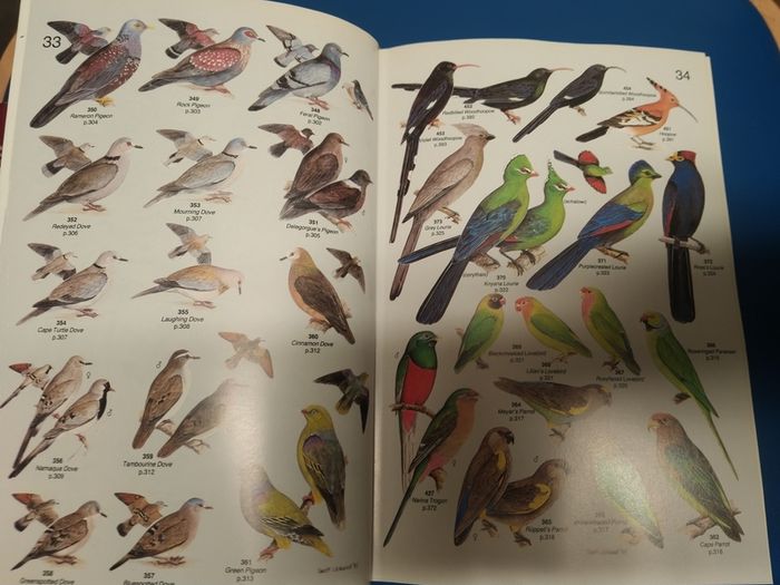 Roberts' Birds of Southern Africa