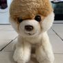 Gund Teddy Boo Image 5