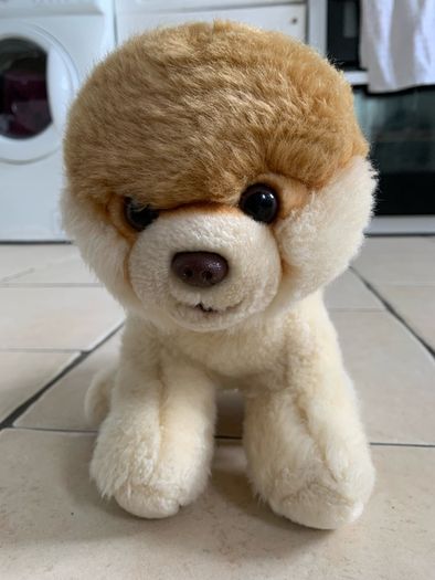 Gund Teddy Boo