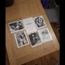 1992 Sleepwalkers Movie Press Kit Image 2
