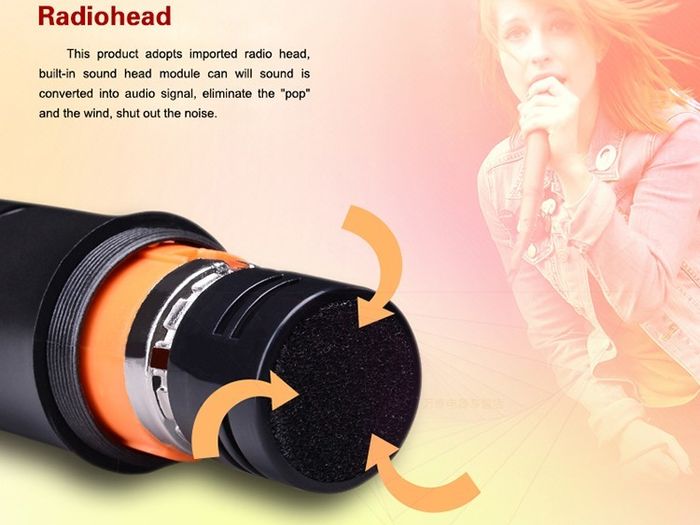 WEISRE Wired Microphone Black