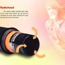 WEISRE Wired Microphone Black Image 5