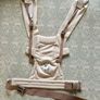 Ergobaby Embrace Baby Carrier Image 4