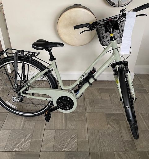 Flinger Steel Bike Basket With Quick Release Mount