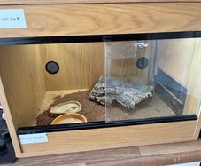 Reptile Tank/ starter kit