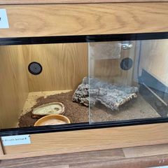 Reptile Tank/ starter kit