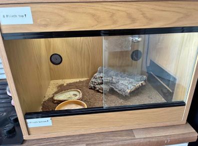 Reptile Tank/ starter kit