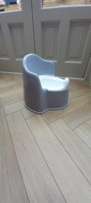 Bjorn Potty and toilet step