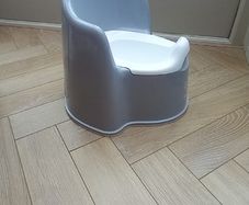Bjorn Potty and toilet step