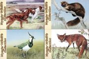 1993 Ireland An Post Set Voyager Wildlife Collection Postcard Mint.