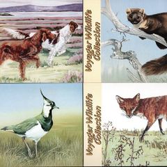 1993 Ireland An Post Set Voyager Wildlife Collection Postcard Mint.