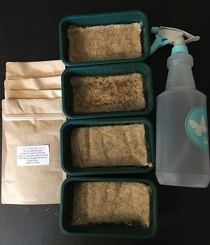 Microgreens Soil Free Growing Kit