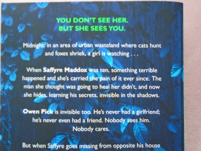 Paperback book, Fiction, Book, Invisible Girl, Lisa Jewell